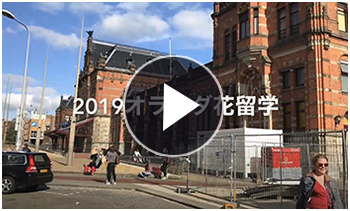 2019 オランダ花留学