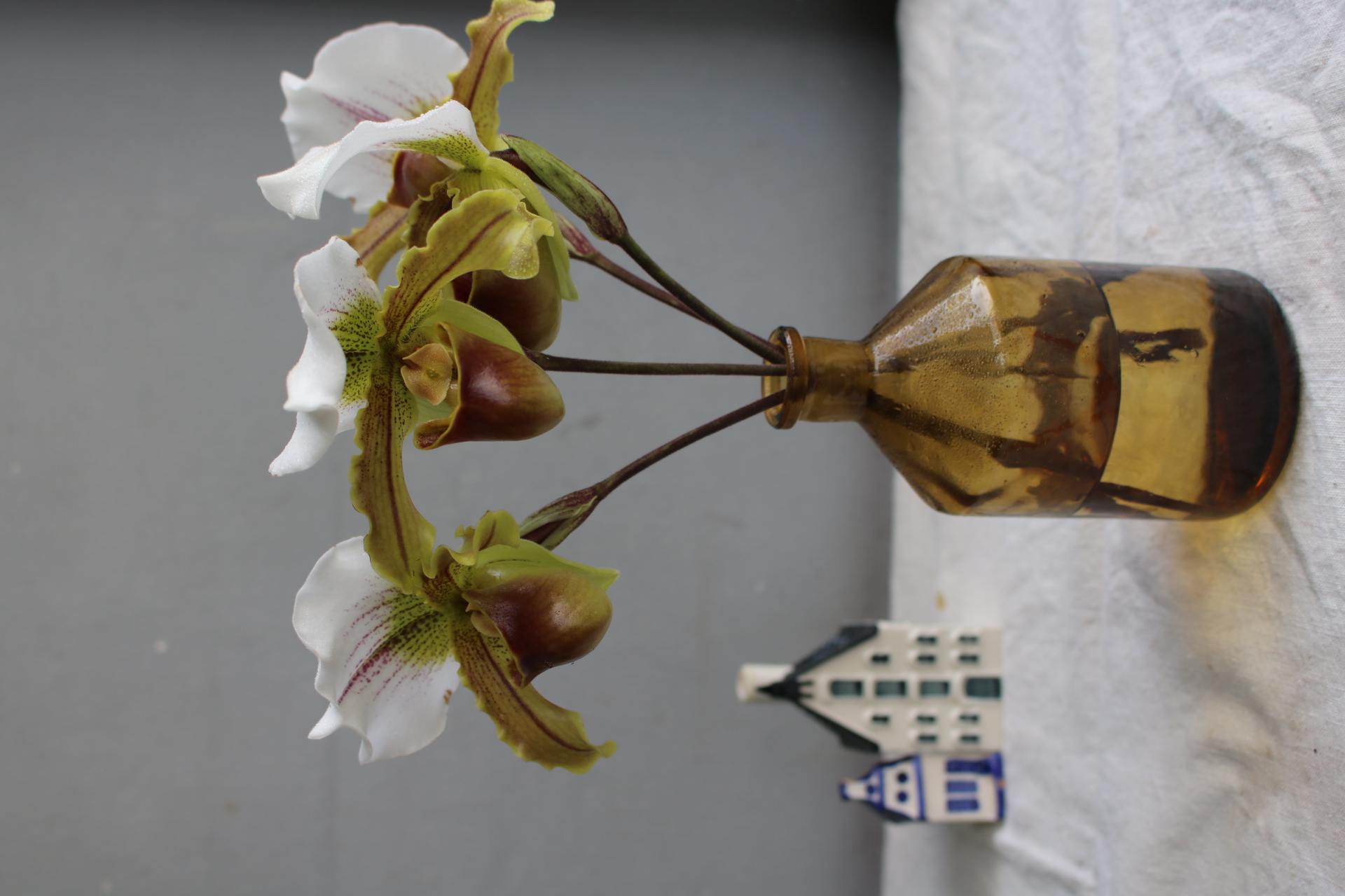 シックな色合いの花ですが