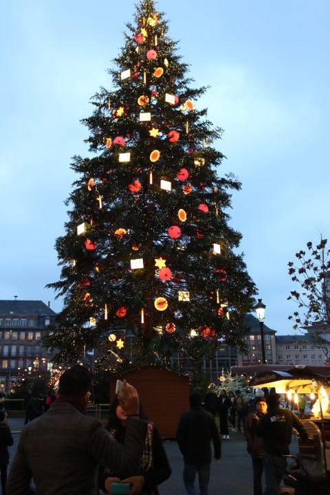 2018フランス・ストラスブールの巨大なクリスマスツリー