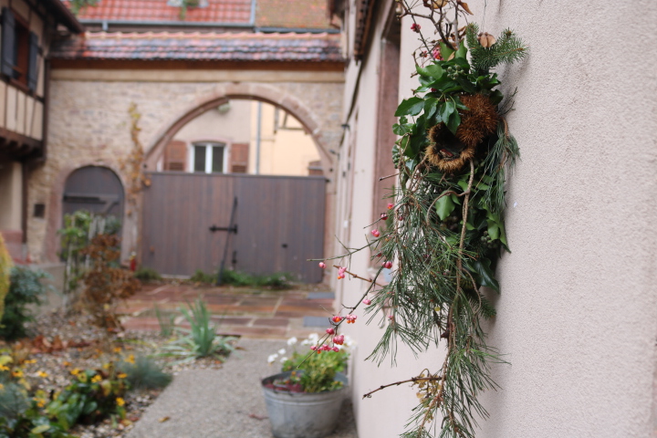 フランス・アルザスでクリスマスアレンジ