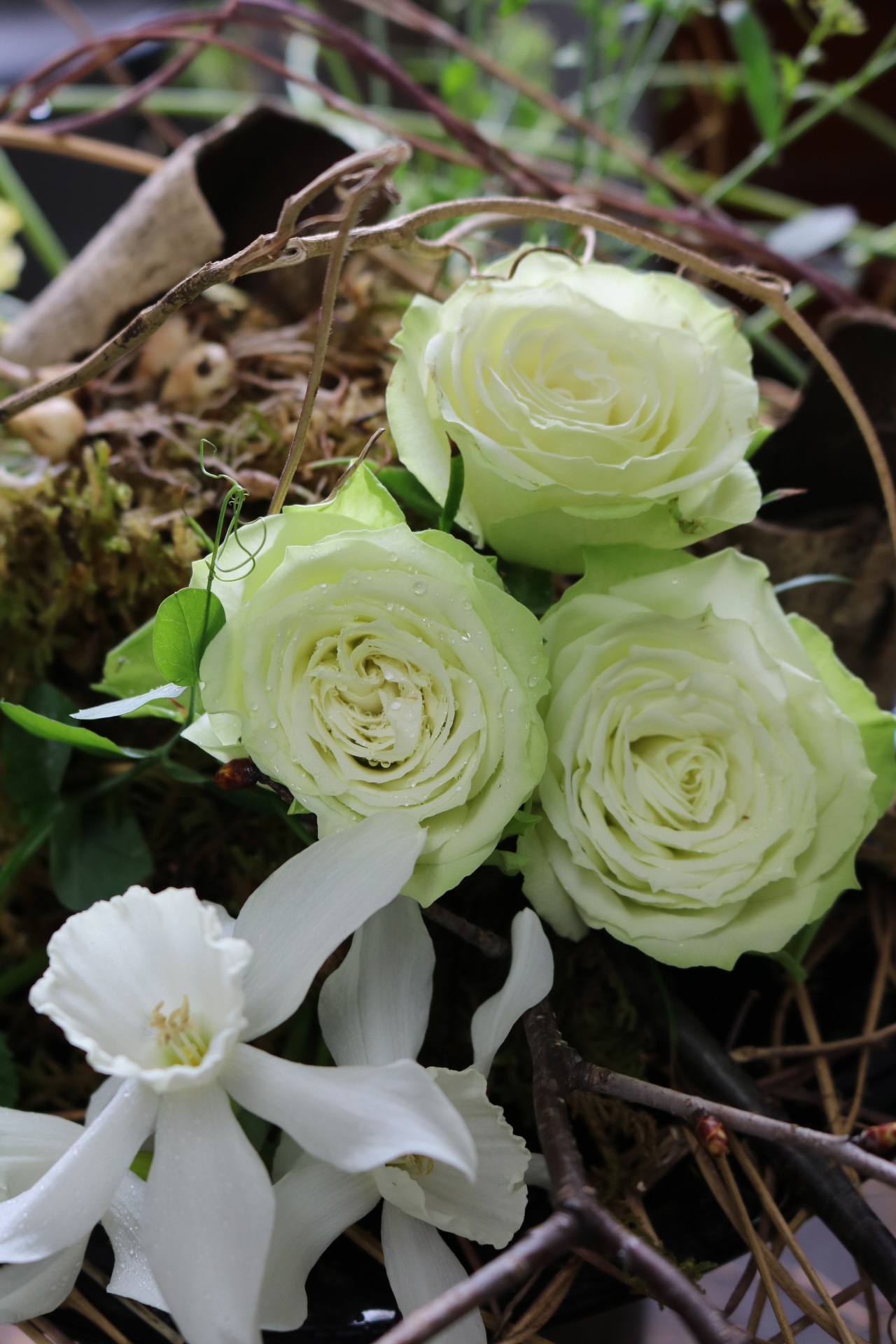 花が咲き、花が散り、花が枯れる