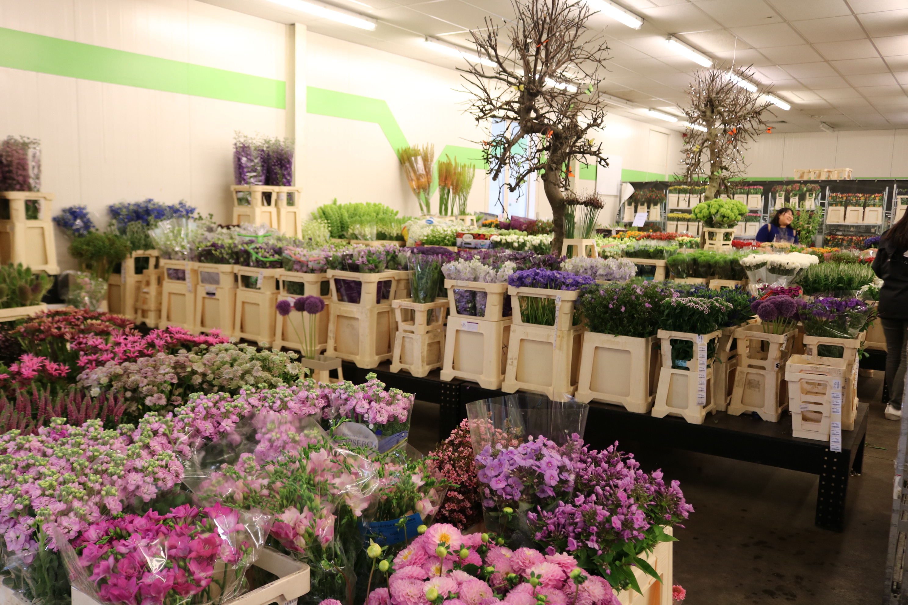 オランダの花市場 フラワーマーケット 仲卸