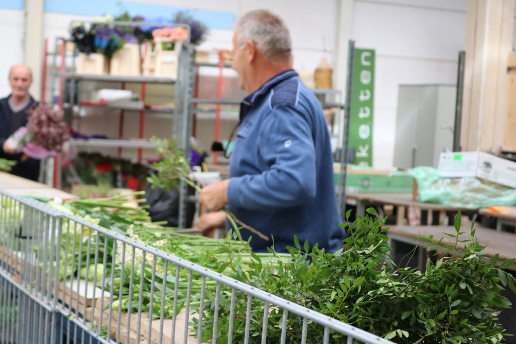 オランダの花市場 フラワーマーケットに行ってみました