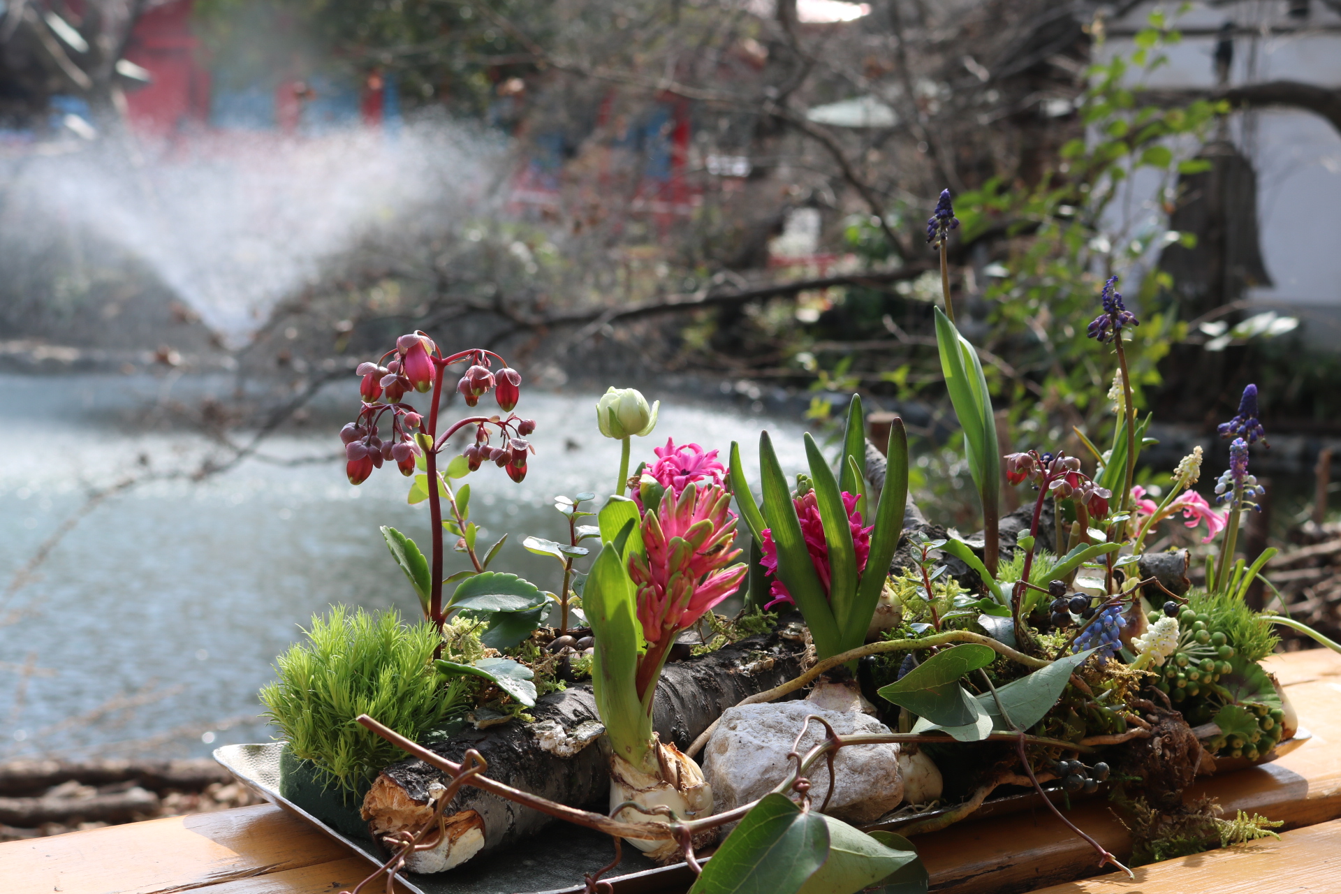 球根付き花のデザインの動画案内