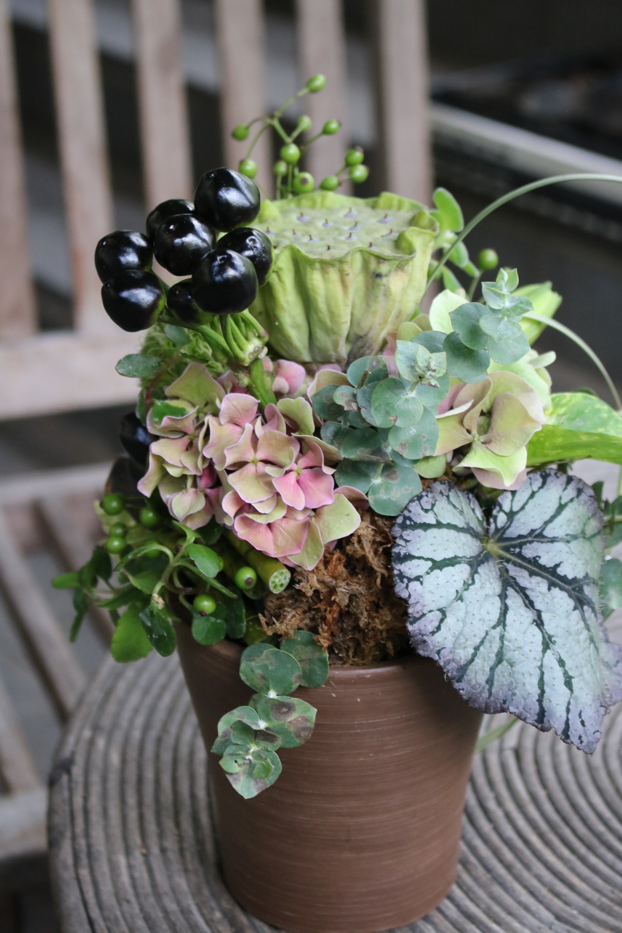 大好きな多肉植物を使ったアレンジ